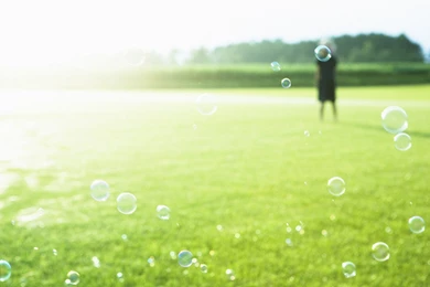 Feeling The Nature   Outdoor Relaxation Wallpapers 1280x800 NO.38 ...