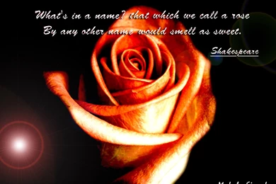 1024x768 Romantic Desktop PC And Mac Wallpapers