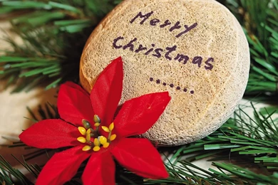 Beautiful Merry Christmas Wallpaper High Definition