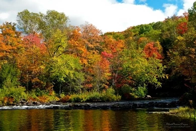 River Nature HD Wallpapers River Desktop Images Cool Wallpapers 4 ...