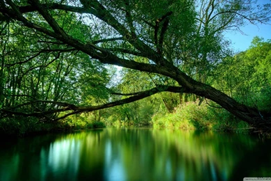 Lakes And Rivers Wallpapers012, Waterfalls