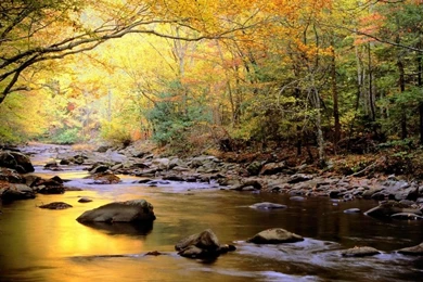 Landscapes Nature Trees Rocks Rivers 1600x1200 Wallpapers – Nature ...