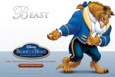 Beauty And The Beast Wallpapers   Danasrhp.top