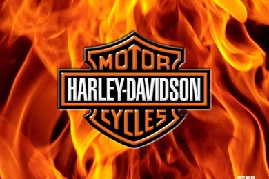Free Harley Davidson Wallpapers   Wallpapers Cave