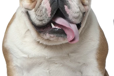 Galaxy S6 Wallpapers HD, Samsung Galaxy S6 Edge Wallpapers