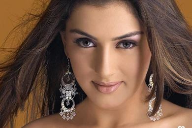 Latest New Hansika Motwani Hot Wallpapers   Wallpapers