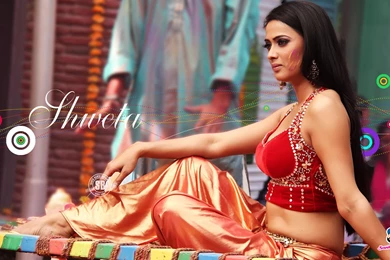 Wallpapers Bollywood New Hot Shweta Tiwari Hd Celebrity 1920x1080 ...