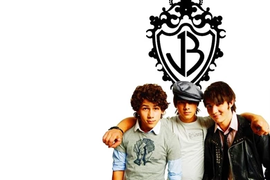 Jonas Brothers the jonas brothers 800 600 Picture, Jonas Brothers ...