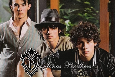 Jonas Brothers Wallpapers   The Jonas Brothers Wallpapers (8083230 ...