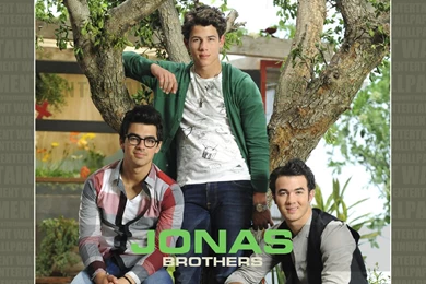 Jonas Brothers Wallpapers