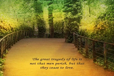 Love   Flikie Wallpapers