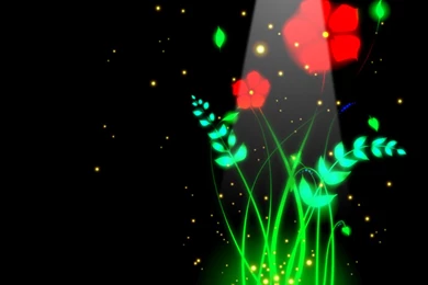 Flashing Flowers By M acie k On DeviantArt