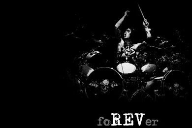 Wallpapers Drums Pearl Petals Beautiful Beauty Flowers Lovely ...