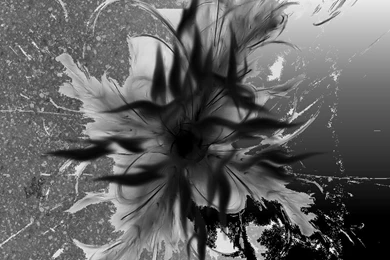 Black Flame   Interpreted Song By Riknard On DeviantArt