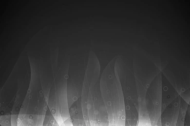 Black White Favourites By Madizzlee On DeviantArt