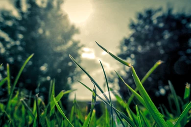 Cool City Images Archives   Simply Wallpapers   Just Choose And ...