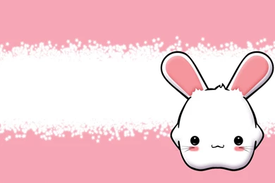 210 Rabbit HD Wallpapers