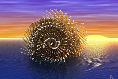 Moving Pictures For Wallpapers