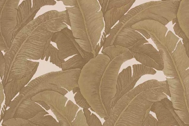 Select Wallpapers (@SelectWallpaper)