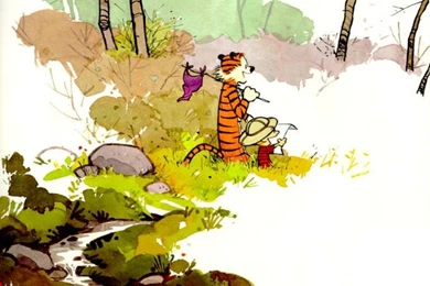 223 Calvin & Hobbes HD Wallpapers