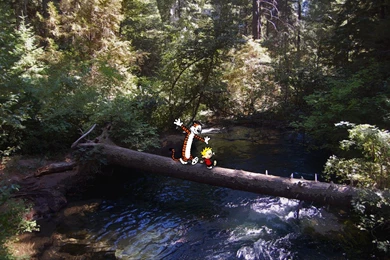 Made Some Calvin & Hobbes Walls   Album On Imgur