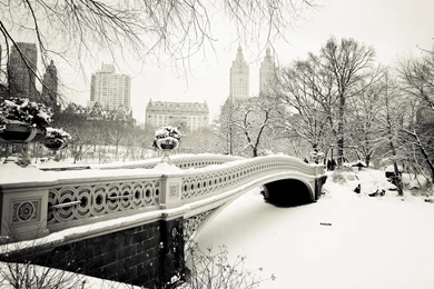 Winter Scene Wallpapers