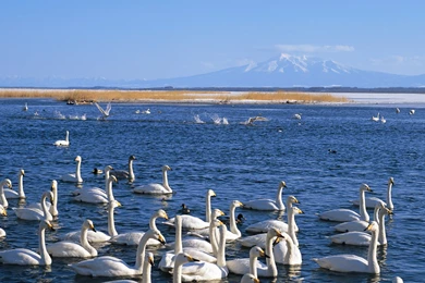 Widescreen LCD Display ] 1440*900 Winter Snow Photos   Snow Scenes ...