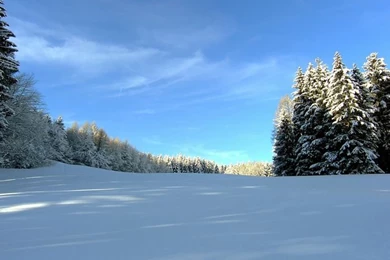 Winter Dreams   Winter Paradise Scene Wallpapers (1920*1440 ...