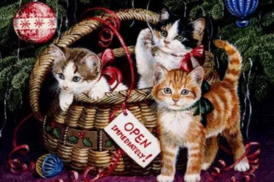 Free Desktop Wallpapers For Cat Lovers, Free Christmas Wallpapaer ...