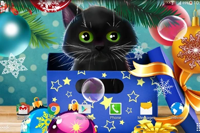 Kitten On Christmas Wallpapers   Android Apps On Google Play