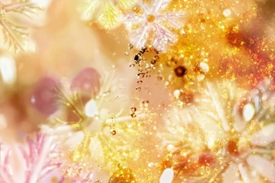 Fantasy Composite Photos Of Autmn & Winter, CG Seasons (1920*1200 ...