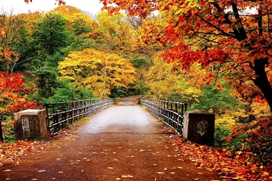 13 Quality Autumn Wallpapers, Photography