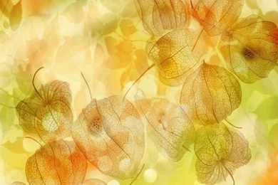 Fantasy Composite Photos Of Autmn & Winter, CG Seasons (1920*1200 ...