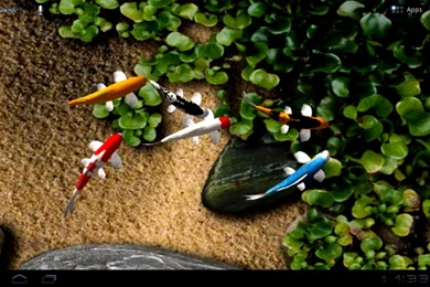 Free Download Hd Live Wallpapers For PC,desktop Wallpapers