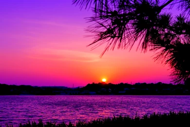 Gorgeous Fog Wallpapers