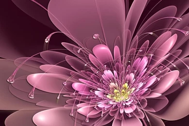 Gorgeous Flower Wallpapers (8)