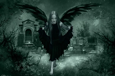 Dark Fairy Wallpapers From Fairy Wallpapers