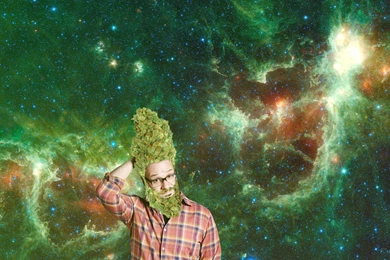 Seth Rogen Weed Wallpapers 1920x1080 [OC] : Trees
