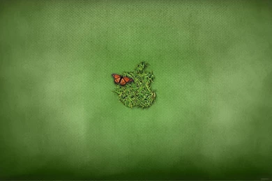 Apple Logo With Butterfly Hd For Mac Ios Wallpapers