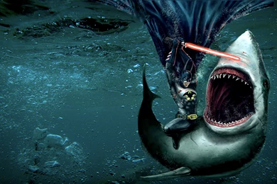 Wallpapers Great White Sharks Flashpoint Shark 1920x1080 ...