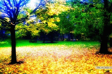 Free Download Wallpapers Hd Collection (33+)