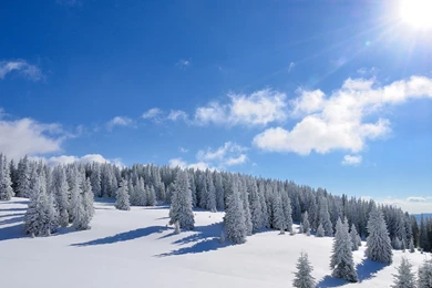 Best Photography Wallpapers Free Download: Amazing Nature Full HD ...