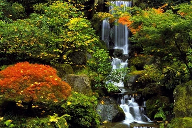 Japanese Garden, Portland, Oregon < Nature < Life < Desktop Wallpapers