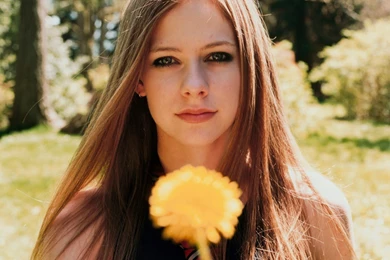 High Definition New Wallpapers: Avril Lavigne Wallpapers