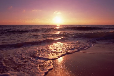 Wallpapers Jacksonville