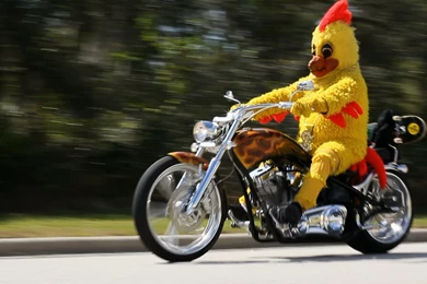 The Shake Junt Chicken YouTube