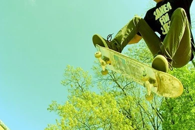 Shake Junt Skate By KenAdams08 On DeviantArt