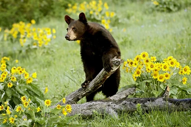 2015 09 23   Page 62