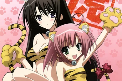 Akaba Chizuru Animal Ears Cosplay Sakurano Kurimu Seitokai No ...