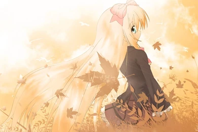 SEITOKAI NO ICHIZON WALLPAPER   (